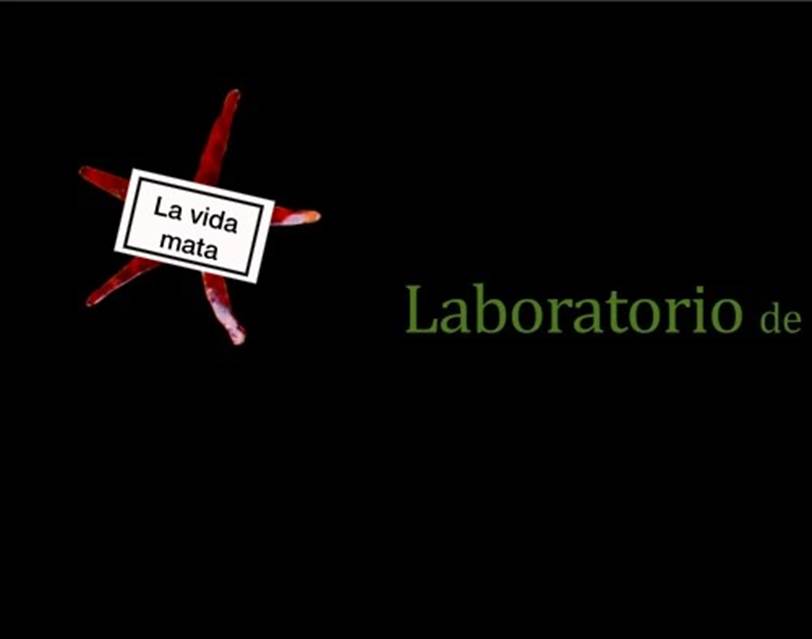 Un letrero de color negro

Descripcin generada automticamente con confianza media